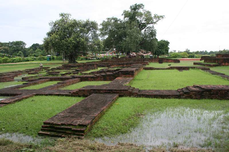 India & Nepal 2011 - 0654